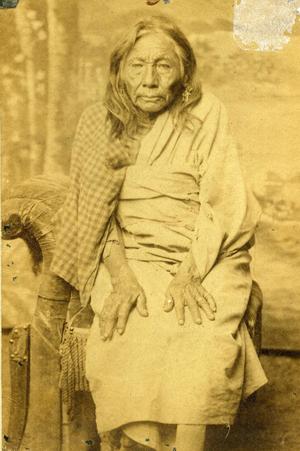 Old Pizen, Cheyenne Woman