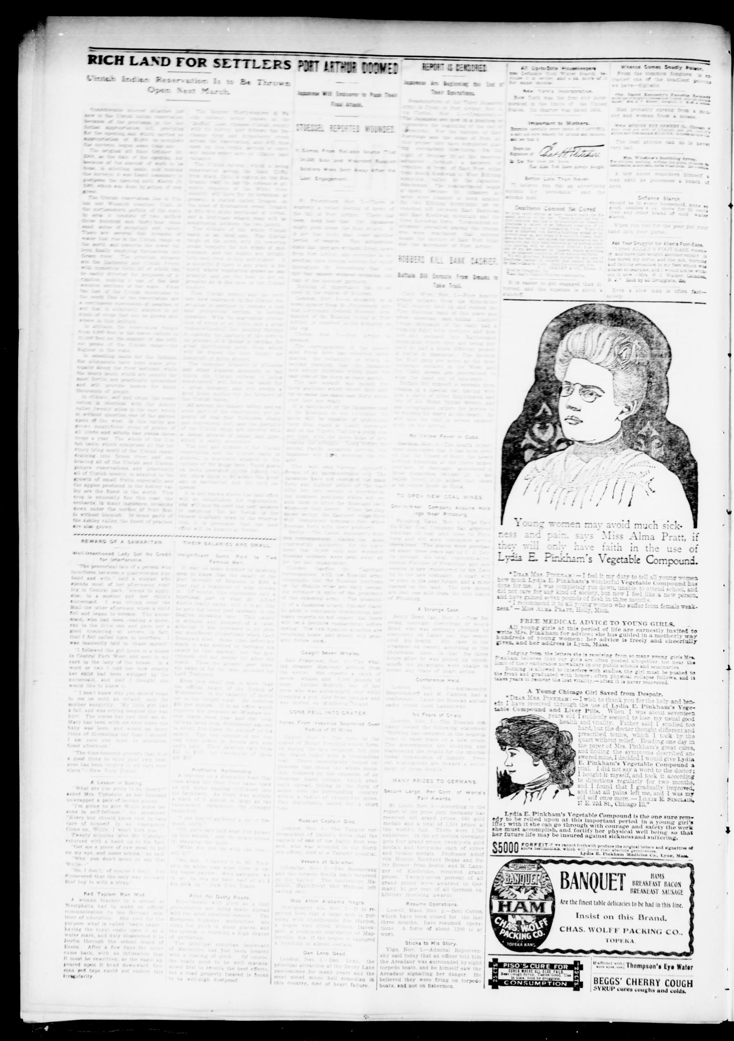 The Press-Democrat. (Hennessey, Okla.), Vol. 13, No. 7, Ed. 1 Friday, November 11, 1904
                                                
                                                    [Sequence #]: 2 of 8
                                                