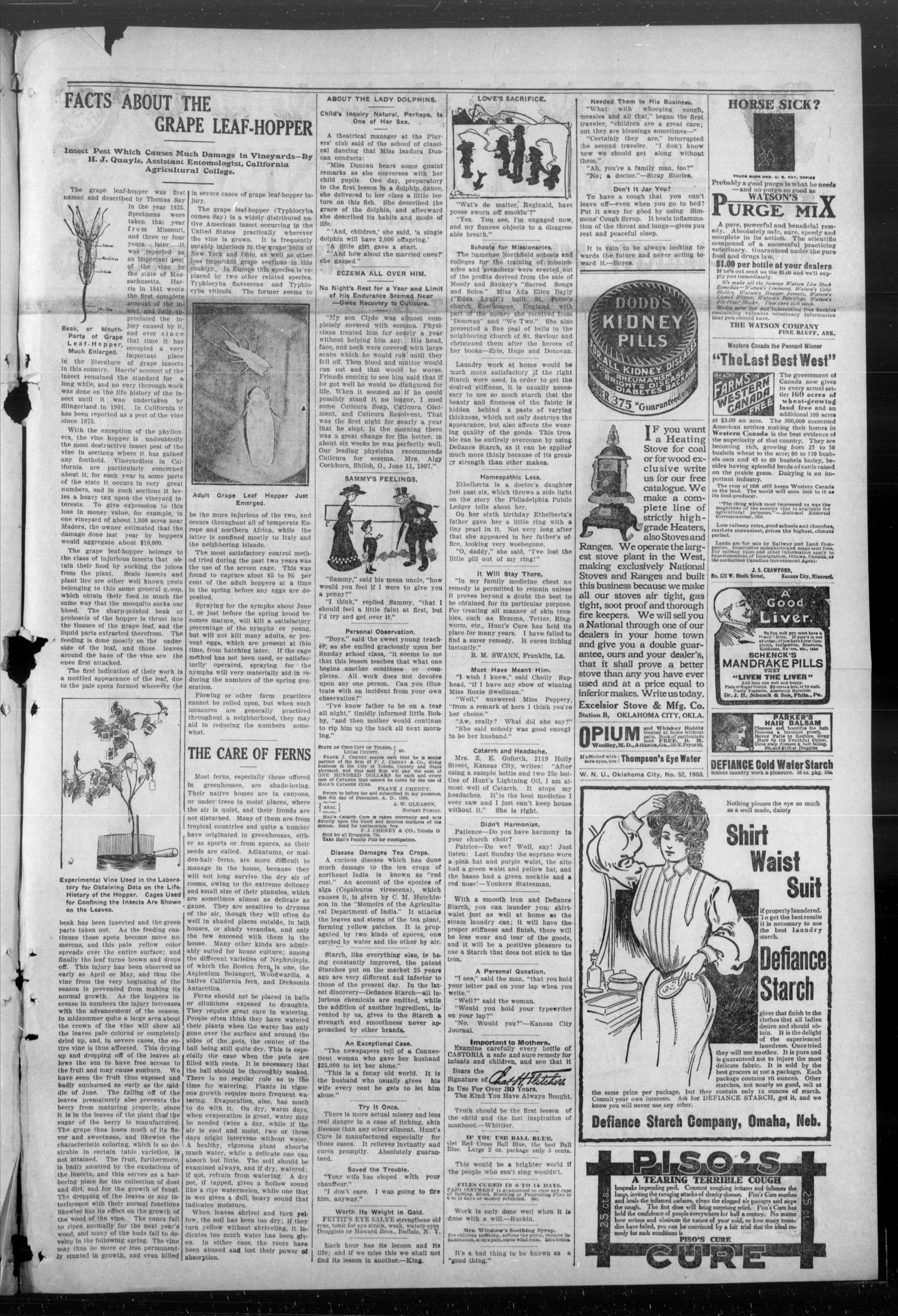 The Madill News (Madill, Okla.), Vol. 14, No. 17, Ed. 1 Friday, December 25, 1908
                                                
                                                    [Sequence #]: 7 of 8
                                                